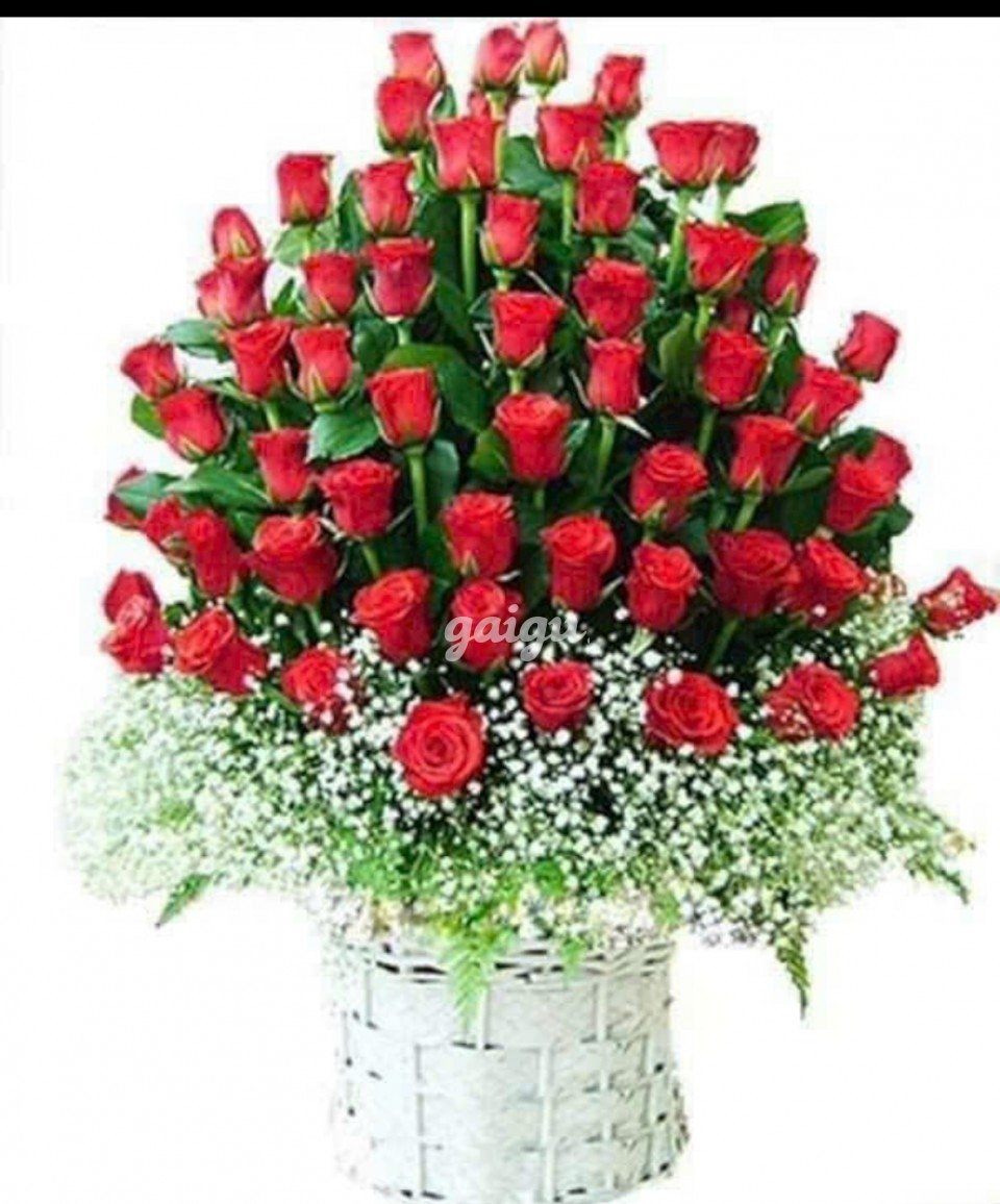 Thúy ❤️ Diễm _Chiều _Khách_ Là _Số _Một